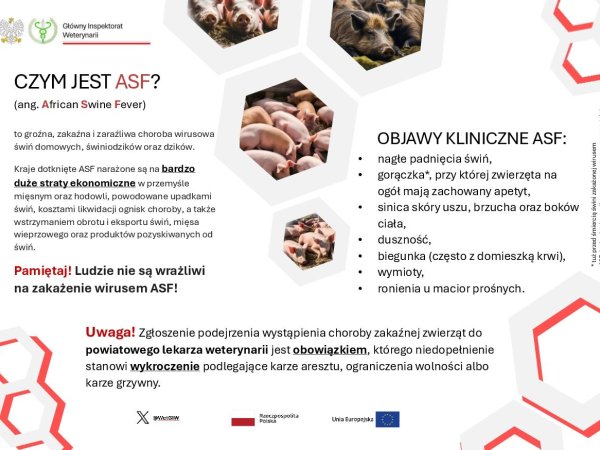 Informacja Powiatowego Lekarza Weterynarii w Brzozowie