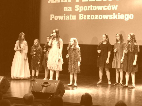 Plebiscyt na Sportowców Powiatu Brzozowskiego
