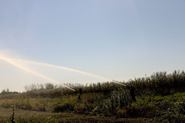 IMG_4474.JPG
