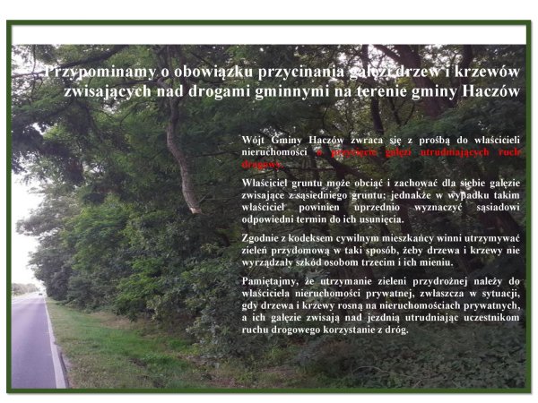 Obowiązek przycinania gałęzi nad drogami