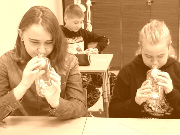 Warsztaty edukacyjne