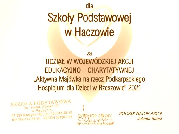 Aktywna Majówka na rzecz Podkarpackiego Hospicjum dla Dzieci w Rzeszowie