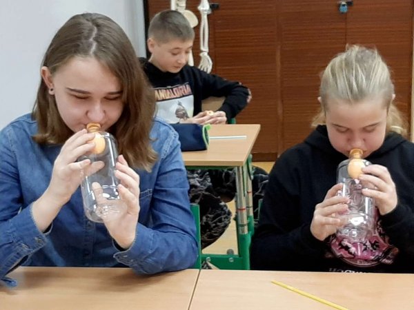Warsztaty edukacyjne