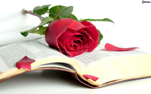 róża na książce - ilustracja